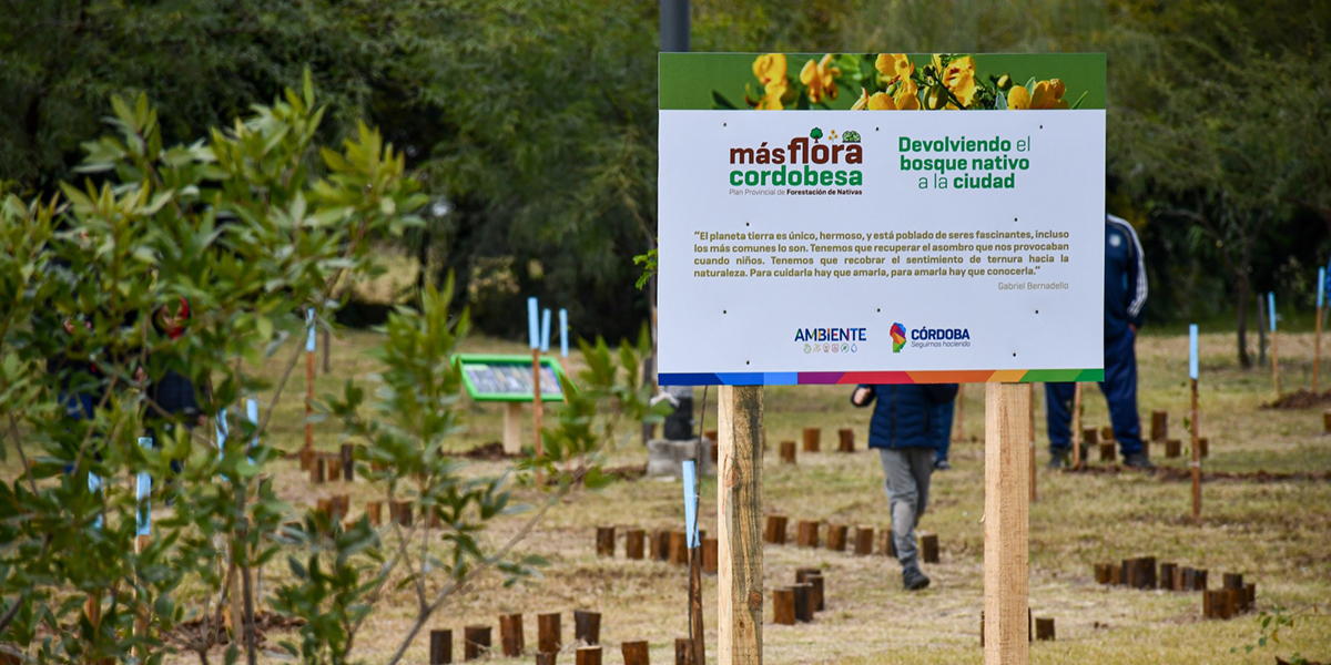 Más Flora Cordobesa: nace un nuevo bosque urbano en la ciudad de Córdoba