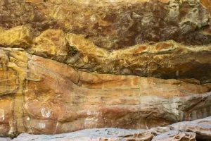 wp-cerro colorado_28