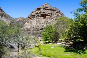 wp-cerro colorado_56